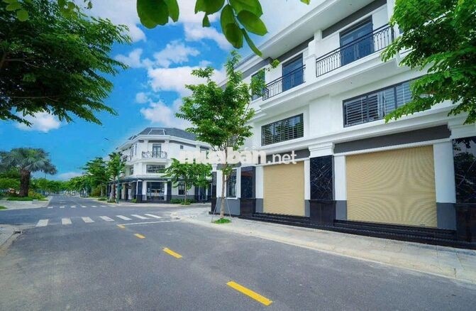 BỎ LỠ NGƯỜI YÊU THÌ ĐƯỢC, CHỨ LỠ NHỊP ĐẤT F0 LÀ TIẾC ĐỨT RUỘT ACE Ơi!