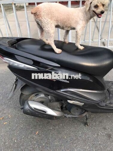 SYM Attila màu đen
