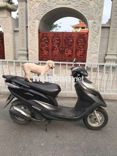 SYM Attila màu đen