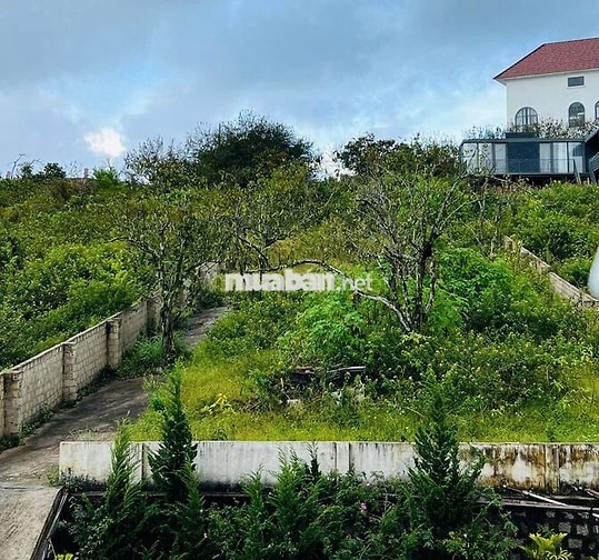 Đất đà lạt khu Manglin phường langbiang, P7 cũ, giá tốt.