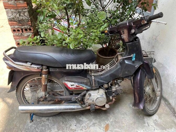 DREAM SANDA BOSS màu nho đầy đủ gt 2,8tr