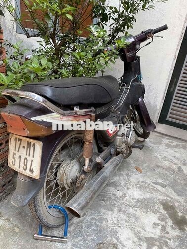 DREAM SANDA BOSS màu nho đầy đủ gt 2,8tr