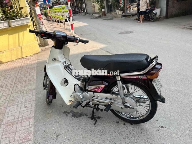Honda Dream 2003 màu nho
