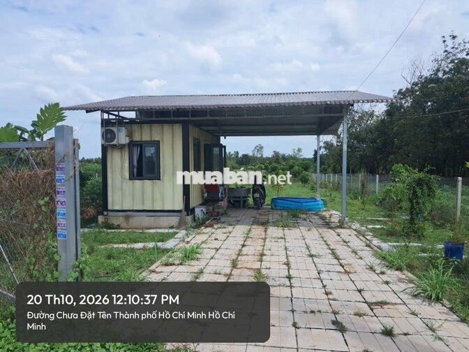 Gia đình có việc cần bán gấp vườn cây, giá chỉ 700.000/m2