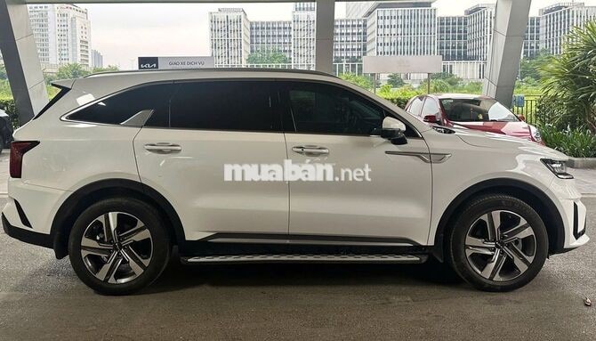 Kia Sorento 2025 2.5 Premium trắng 16.000km