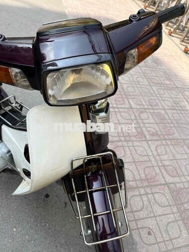 Honda Dream 2003 màu nho