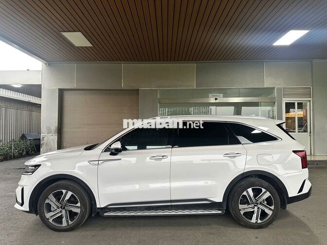 Kia Sorento 2025 2.5 Premium trắng 16.000km