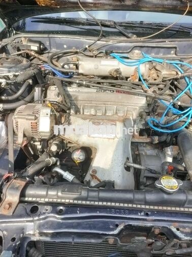 Toyota Camry 1989 Xanh