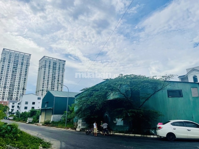 Chính chủ bán đất biệt thự lô góc Tân Việt-Hoài Đức 150m2 mặt tiền 24m