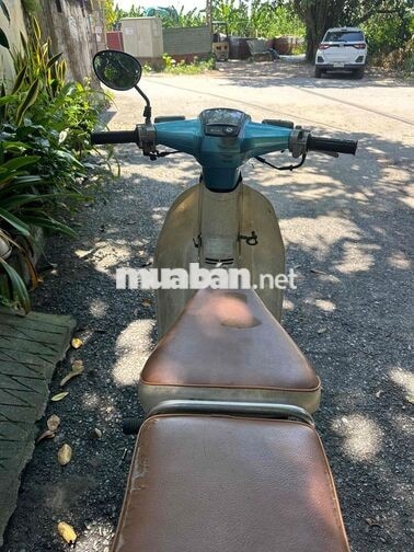 Honda Cub 82 màu xanh dương