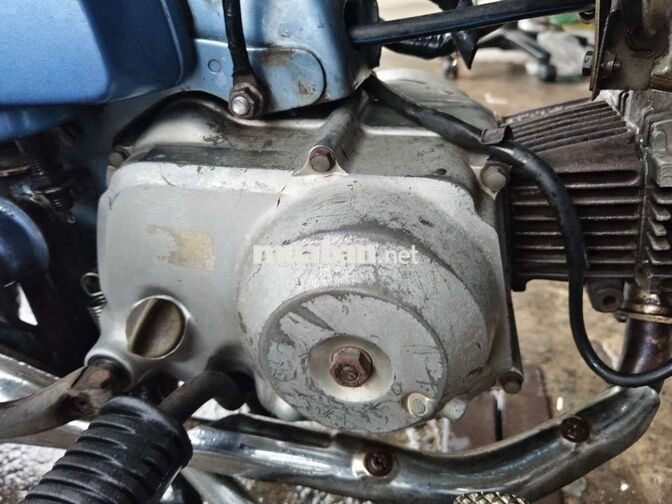 Honda Super Cub 50 màu Xanh