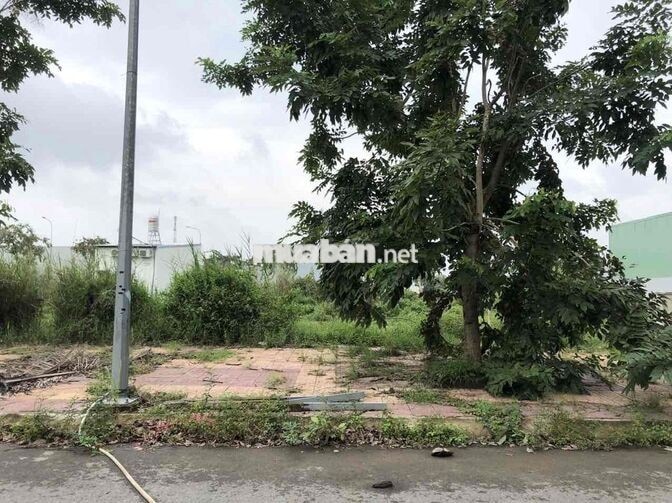 Bán đất mặt tiền trục chính đường A1