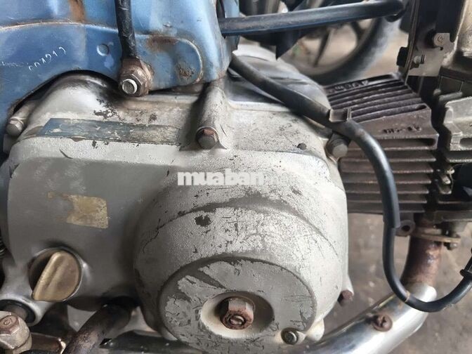 Honda Super Cub 50 màu Xanh