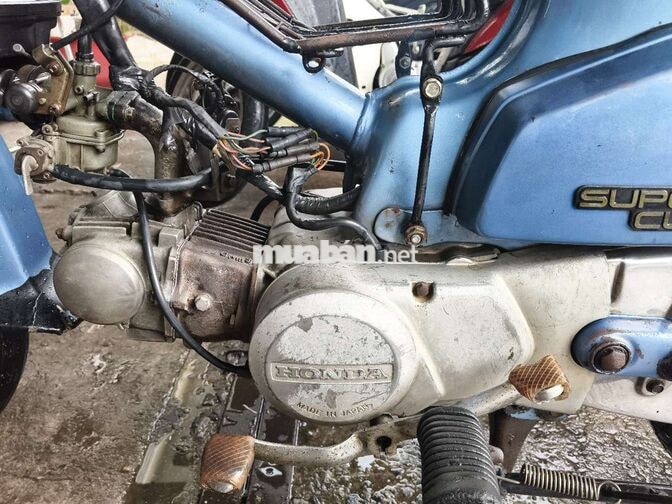 Honda Super Cub 50 màu Xanh