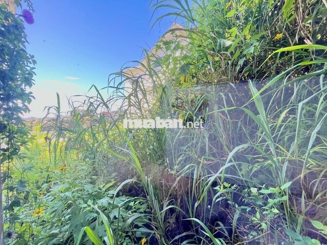 CHO THUÊ CĂN HỘ 1 PHÒNG NGỦ FULL NỘI THẤT ĐƯỜNG PHƯỜNG 7