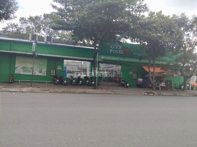 HIẾM NHÀ GẤP BÁN P.TAM BÌNH chỉ 3,3 TỶ