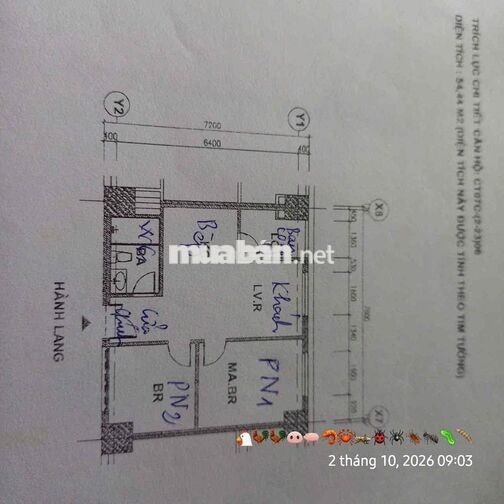Chính chủ cho thuê chung cư Dương Nội