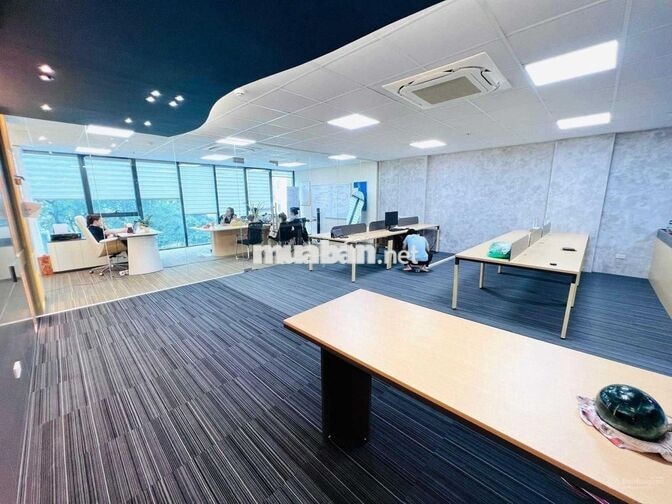 Cho thuê gấp 115m2 tại phố Mạc Thái Tông, Cầu Giấy, Hà Nội.