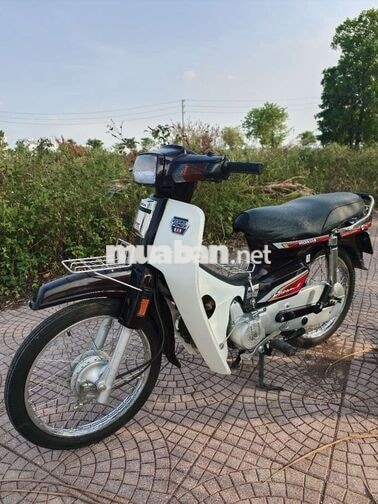 Honda Dream Thái màu nâu