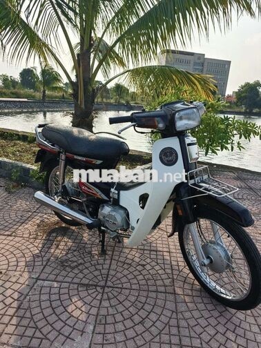 Honda Dream Thái màu nâu