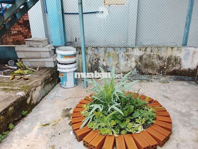 Tôi chính chủ cho thuê nhà có vườn ở gia đình 