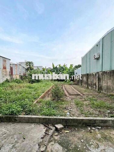 💥Lô đất khủng 140m2 ngang 5m ngay TT Cẩm Lệ, ĐN.