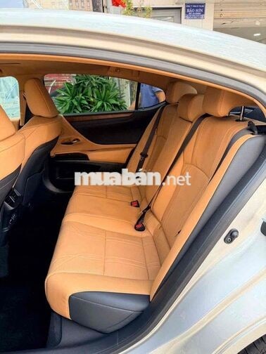 ES250 model 2023 19.000km