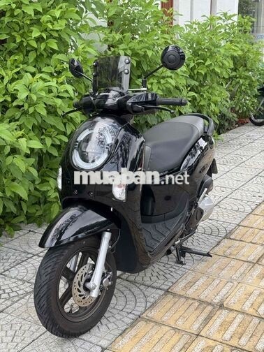 Honda Scoopy 2025 màu Đen bán hoặc gl