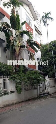 Cho thuê nhà A78, TT19, kđt Văn Quán, tdp số 5 Phúc La, Hà Đông, HN