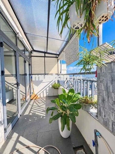 Chính chủ cần tiền bán gấp Penhouse Mường Thanh