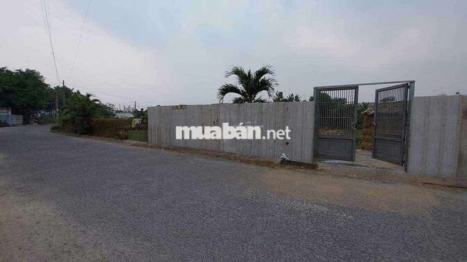 Đất vườn chính chủ 1100m2 Nguyễn Thị Đành Hóc Môn MT đường nhựa 6m
