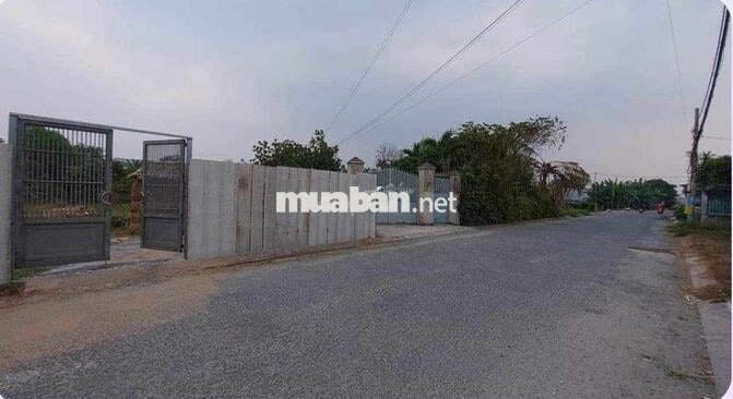 Đất vườn chính chủ 1100m2 Nguyễn Thị Đành Hóc Môn MT đường nhựa 6m