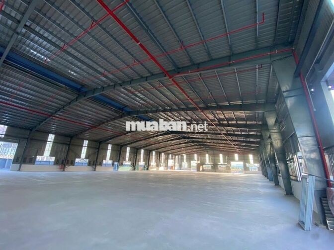 cho thuê kho xưởng khu công nghiệp cần đước đường nguyễn trung trực 