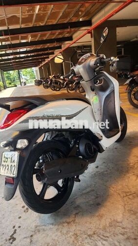 YAMAHA JANUS 2024 MÀU TRẮNG LIMITTED