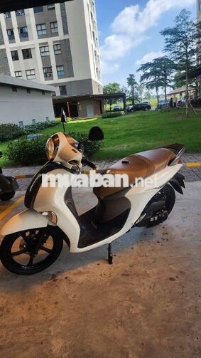 YAMAHA JANUS 2024 MÀU TRẮNG LIMITTED
