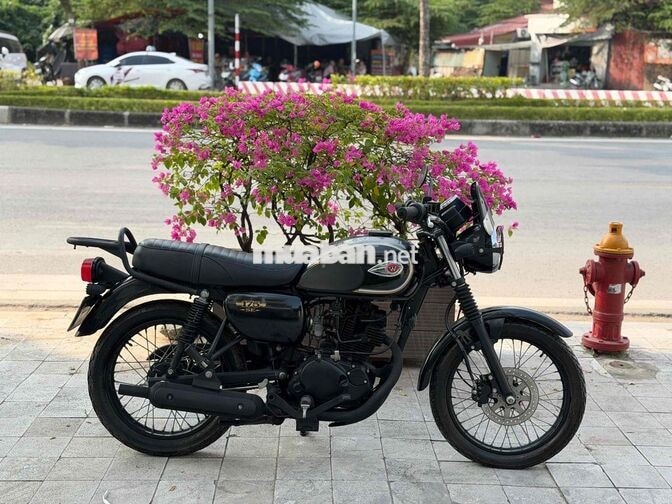 Kawasaki W175 2019 màu Đen