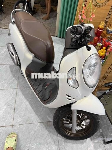 Honda Scoopy 2024 màu trắng