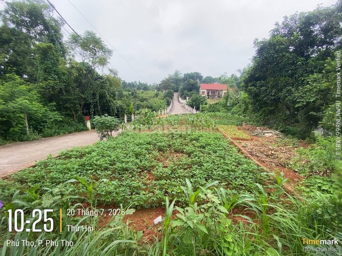 Chính chủ bán lô góc 128m2, mặt đường DH5 Hà Lộc, giáp KCN Phú Hà