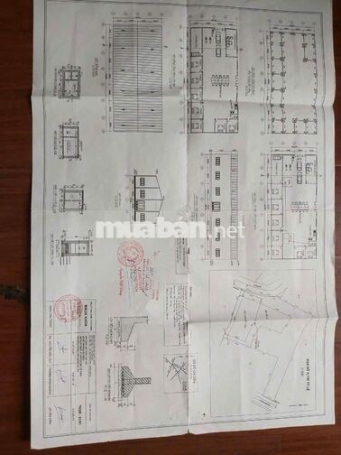 🌟 CHÍNH CHỦ GỬI BÁN QUỸ ĐẤT LỚN CỦ CHI – 55 TỶ


