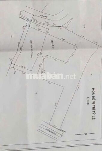🌟 CHÍNH CHỦ GỬI BÁN QUỸ ĐẤT LỚN CỦ CHI – 55 TỶ

