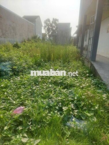 Bán gấp lô đất 125m2, vị trí đẹp ngay KCN Tân Đức