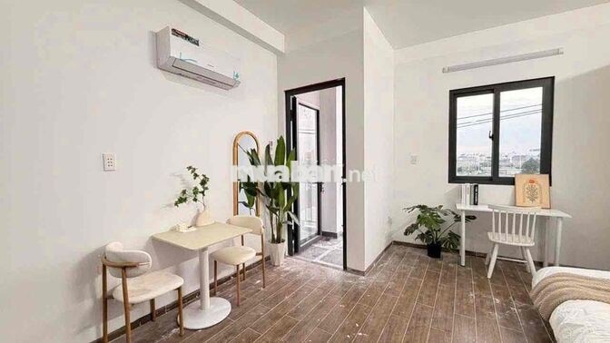 ‼️ SIÊU PHẨM CHDV BAN CÔNG - ngay VÒNG XOAY DÂN CHỦ ‼️