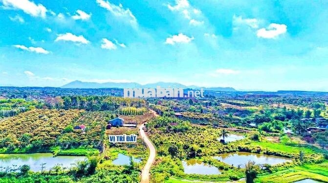 Đất Cư Ni Ea Kar Đắk Lắk, Đường Bê Tông, Sổ Sẵn, Giá Từ 165 T