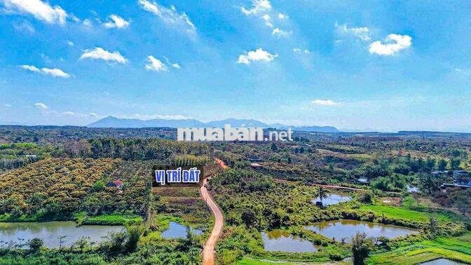 Đất Cư Ni Ea Kar Đắk Lắk, Đường Bê Tông, Sổ Sẵn, Giá Từ 165 T