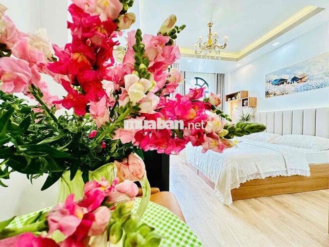 🔥 CHO THUÊ PHÒNG BAN CÔNG CAO CẤP – HOÀNG VĂN THỤ, PHÚ NHUẬN | CHỈ 12