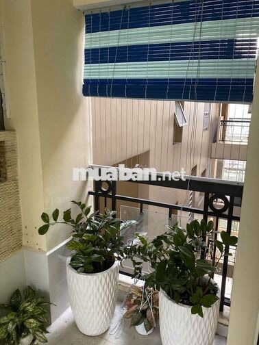 CHÍNH CHỦ CHO THUÊ CH PHÚC YÊN  – 120M² 3PN/2WC VIEW ĐẸP – GIÁ 12TR/TH