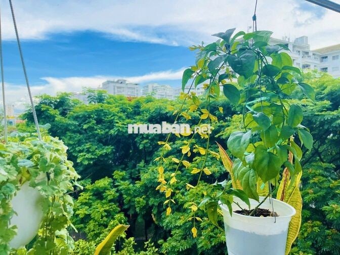 Cho thuê CH Phú Mỹ Hưng - Chính chủ