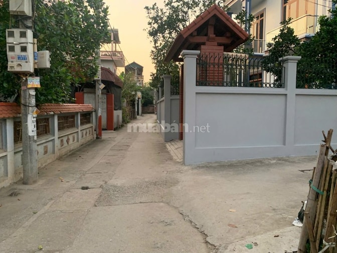 Chính chủ bán đất thổ cư thôn yên quán, tân phú, Quốc Oai.