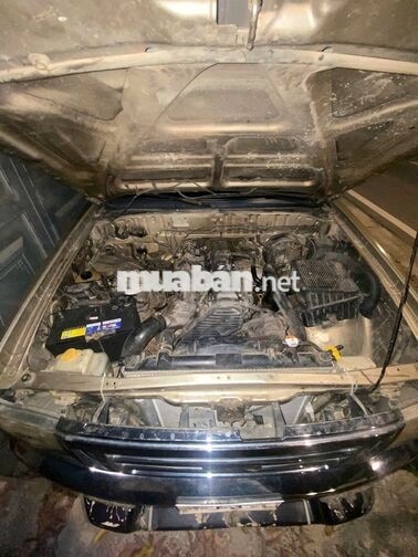 Ford Ranger 2004 XLT 4x4 MT Vàng đen