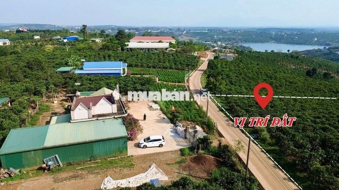 Đất xây nhà vườn tại Phúc Thọ Lâm Đồng | 7m ngang | Giá 379 triệu